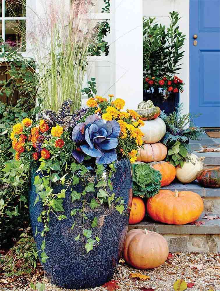 Coastal gardening: Be strategic in filling, placing fall planters - Gulf  Coast Woman Magazine