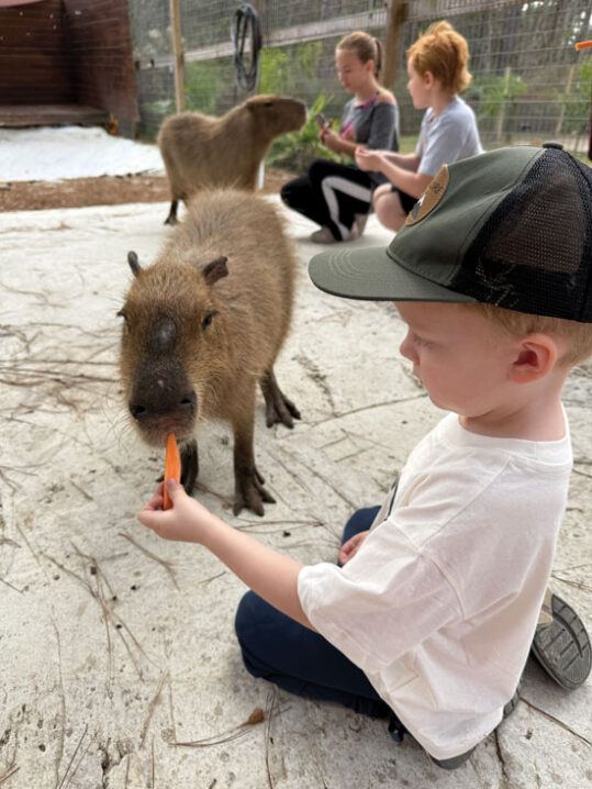 local-adventures_Wild-Acres-Hands-On-Animal-Experience - Gulf Coast ...